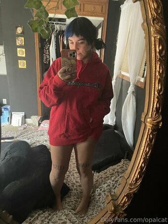 opalcat Nude Leaks Photo 24