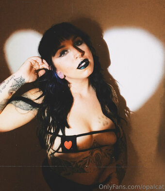 opalcat Nude Leaks Photo 29