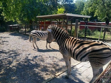 peachesdoe Nude Leaks Photo 30