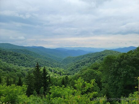 peachesdoe Nude Leaks Photo 37