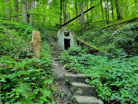 peachesdoe Nude Leaks Photo 41