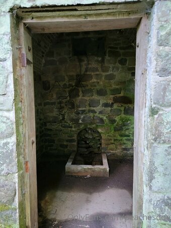 peachesdoe Nude Leaks Photo 43