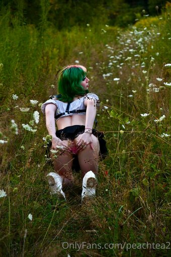 peachtea2 Nude Leaks Photo 12