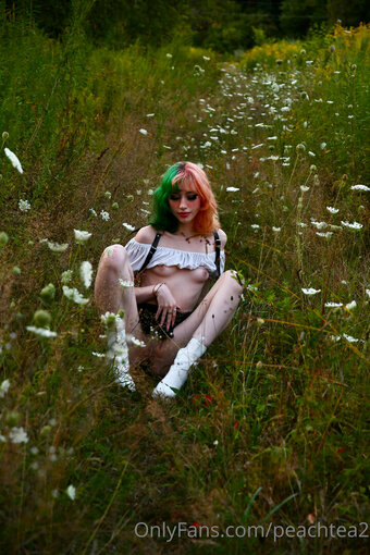 peachtea2 Nude Leaks Photo 14