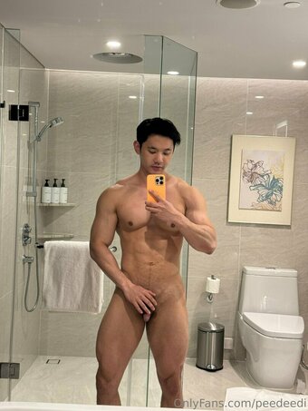 peedeedi Nude Leaks Photo 15