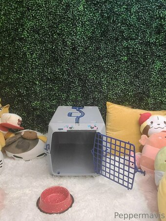 peppermavis Nude Leaks Photo 10