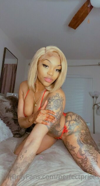 perfectprices Nude Leaks Photo 10