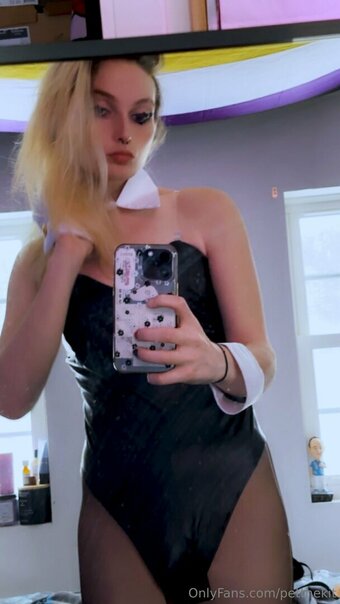 petthekit Nude Leaks Photo 3