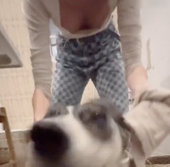 Phia Quantius / phia_quantius Nude Leaks Photo 3