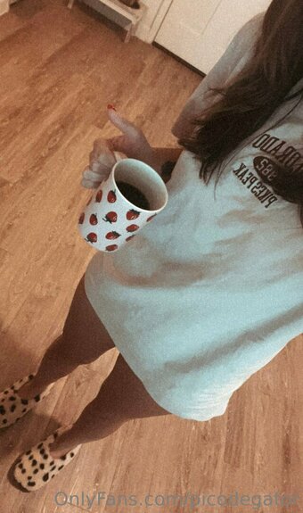 Picodegator Nude Leaks OnlyFans Photo 2