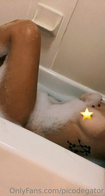 Picodegator Nude Leaks OnlyFans Photo 4