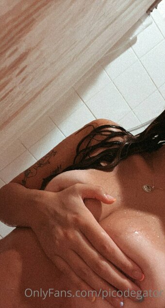 Picodegator Nude Leaks OnlyFans Photo 6