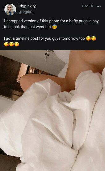 PinkCBJ / cbjpink Nude Leaks OnlyFans Photo 13