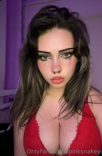 pinksnakey Nude Leaks OnlyFans Photo 11