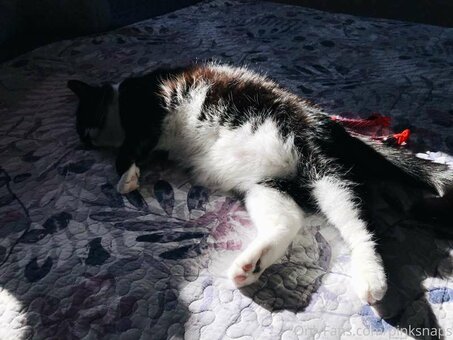 pinksnaps / https: / pink_snaps / pinksnaps_ Nude Leaks OnlyFans Photo 12