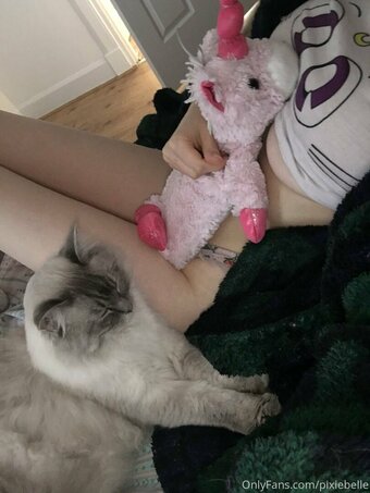 pixiebelle Nude Leaks Photo 7