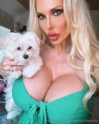 playmatekandy Nude Leaks Photo 10