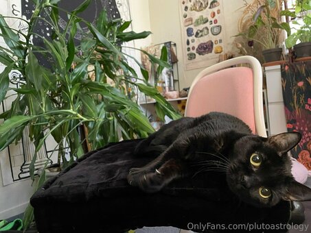 plutoastrology Nude Leaks Photo 10