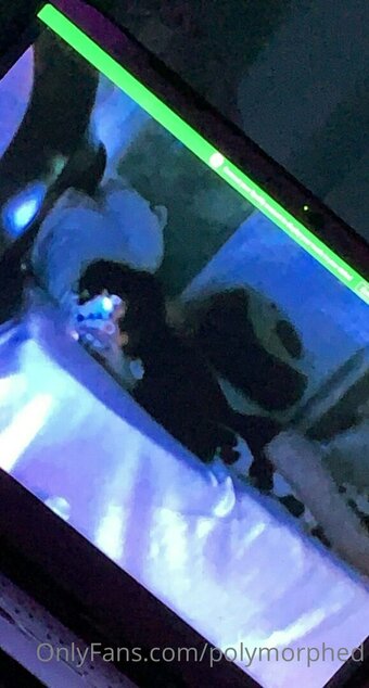 Polymorphed / polymorphmusic / yordlegf Nude Leaks OnlyFans Photo 6