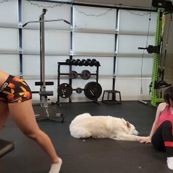 PotasticPanda / mxrlovesfans Nude Leaks OnlyFans Photo 26