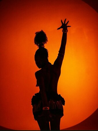 Pridevips Nude Leaks Photo 10