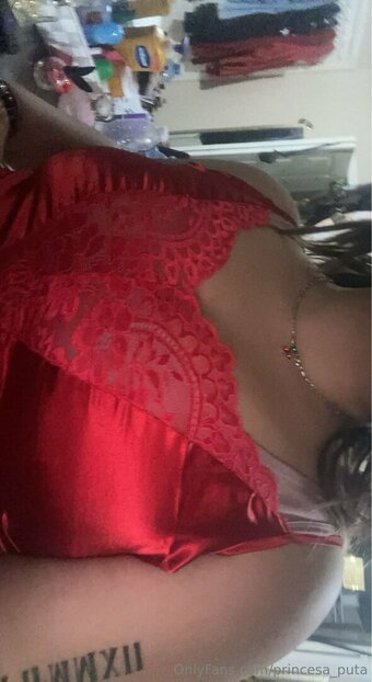 princesa_puta Nude Leaks Photo 2