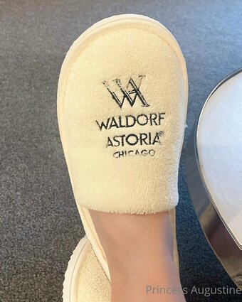 princessaugustine Nude Leaks Photo 7