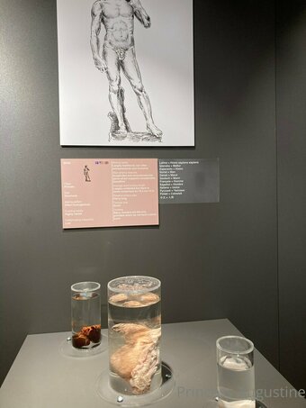 princessaugustine Nude Leaks Photo 11