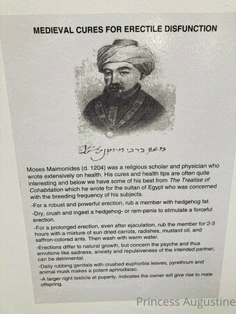 princessaugustine Nude Leaks Photo 12