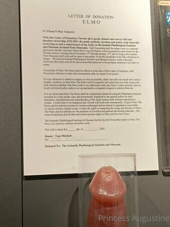 princessaugustine Nude Leaks Photo 14