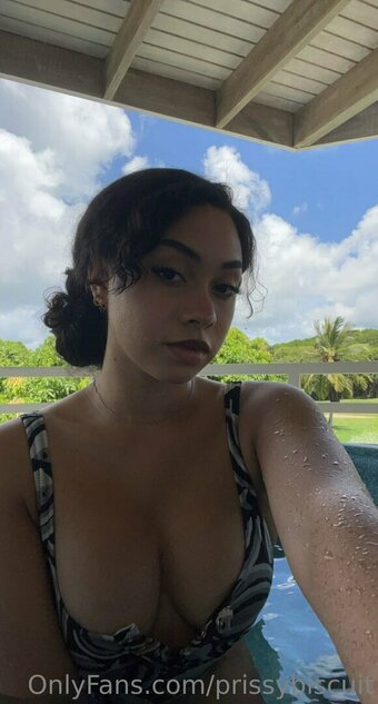 prissybiscuit Nude Leaks Photo 2
