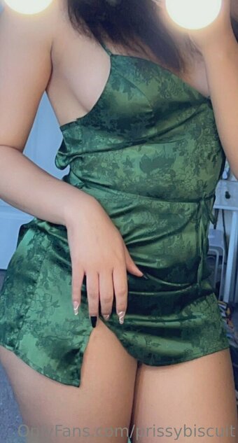prissybiscuit Nude Leaks Photo 6