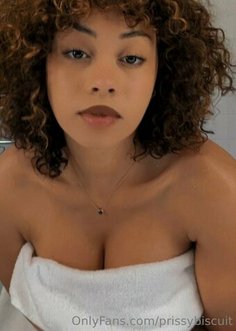 prissybiscuit Nude Leaks Photo 26