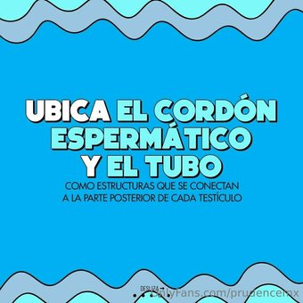 prudencemx Nude Leaks Photo 18