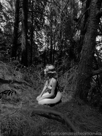 psychedelicsnack Nude Leaks Photo 14