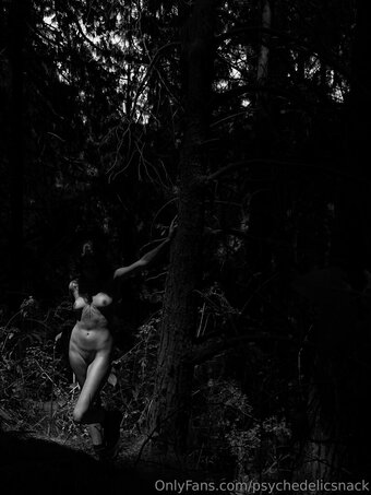 psychedelicsnack Nude Leaks Photo 16