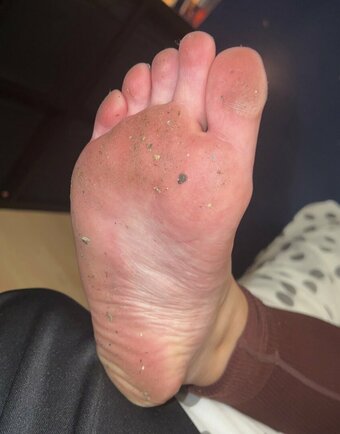 Queen Sarah Queen Sarah