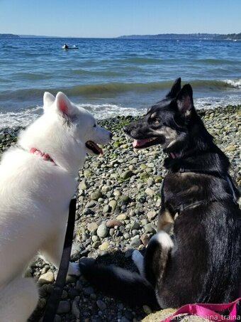 raina_traina / rainatraina Nude Leaks OnlyFans Photo 44