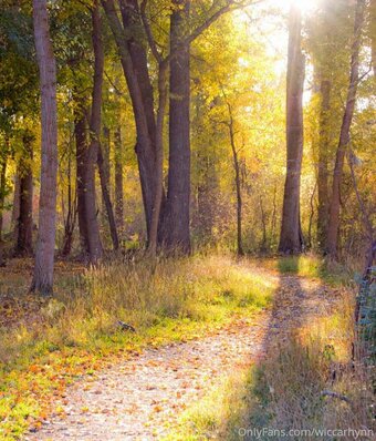 Rhynn Hellrig / Rhynnh / https: / wiccanbetch37 Nude Leaks OnlyFans Photo 18