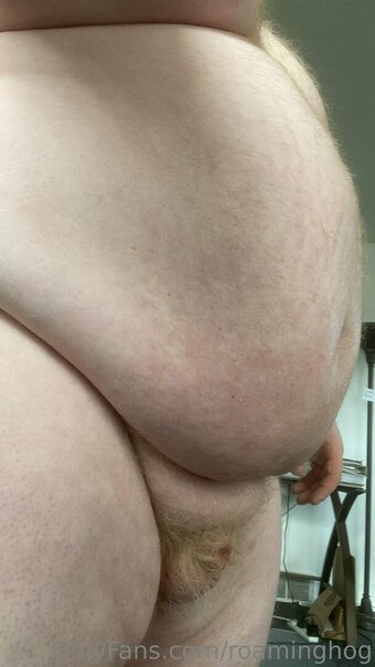 roaminghog Nude Leaks Photo 10