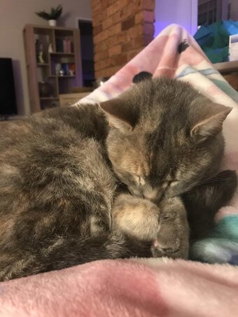 RubyBlueJay / https: Nude Leaks OnlyFans Photo 28