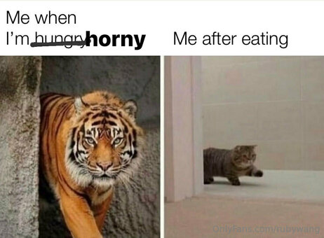 rubywang Nude Leaks Photo 14