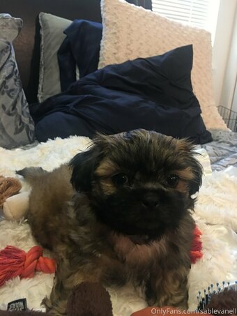 sablevanell Nude Leaks Photo 21