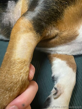 sadiespit Nude Leaks Photo 22