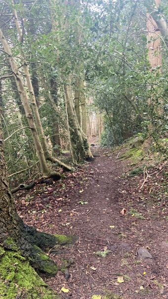 salacious12 Nude Leaks Photo 25