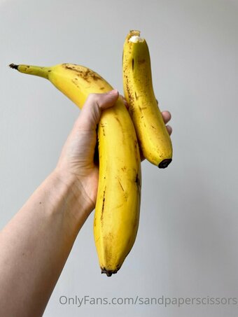 sandpaperscissors / Shawnie Nude Leaks OnlyFans Photo 30