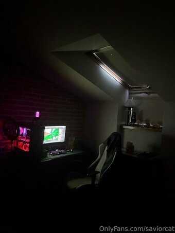 saviorcat Nude Leaks Photo 27