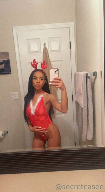 secretcasee Nude Leaks Photo 6
