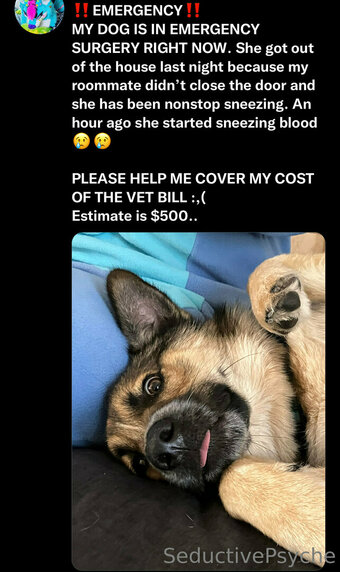 seductivepsyche Nude Leaks Photo 9