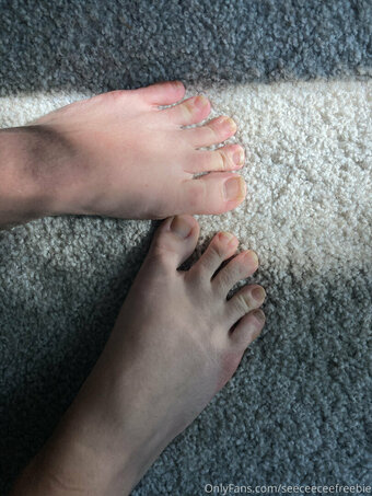 seeceeceefreebie Nude Leaks Photo 6